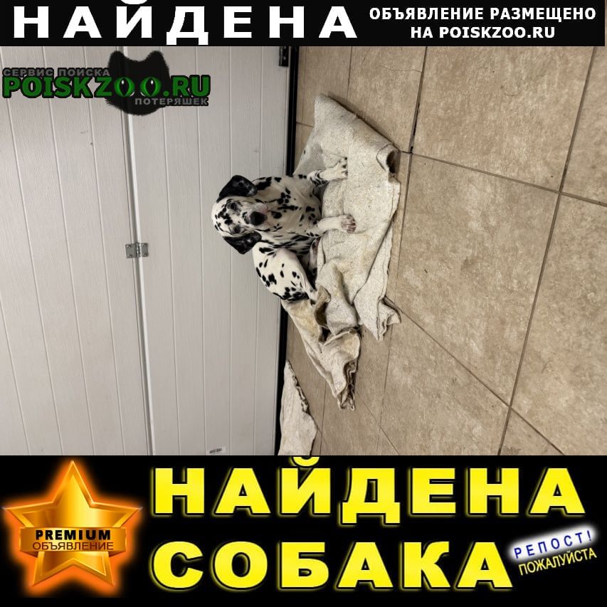 ���� ������� ������ ������