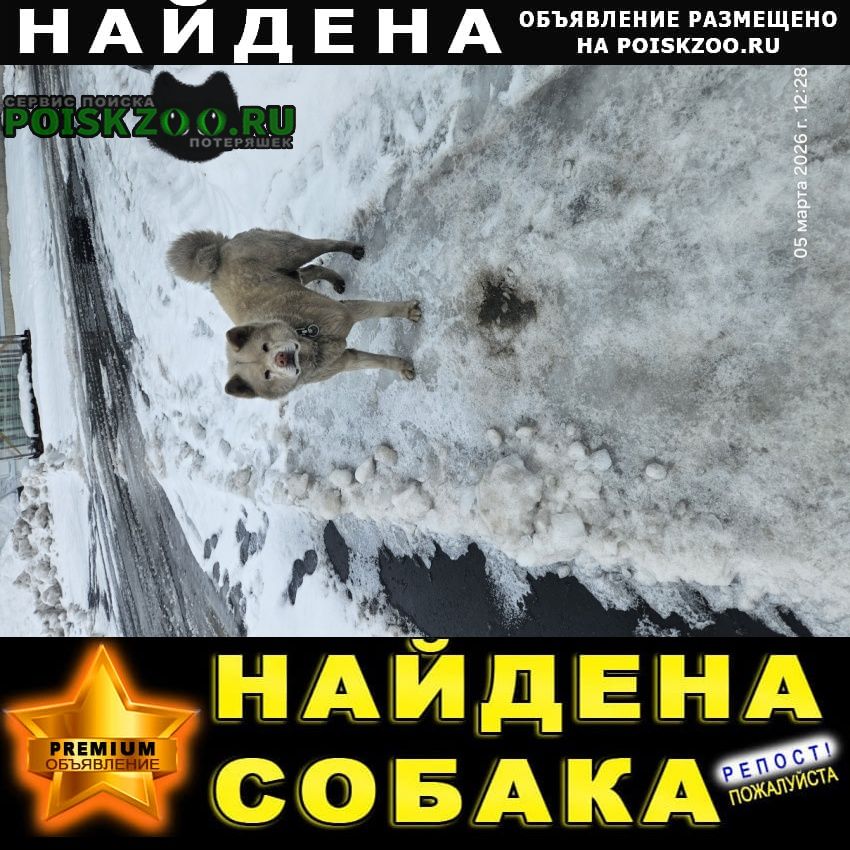 ���� ������� ������