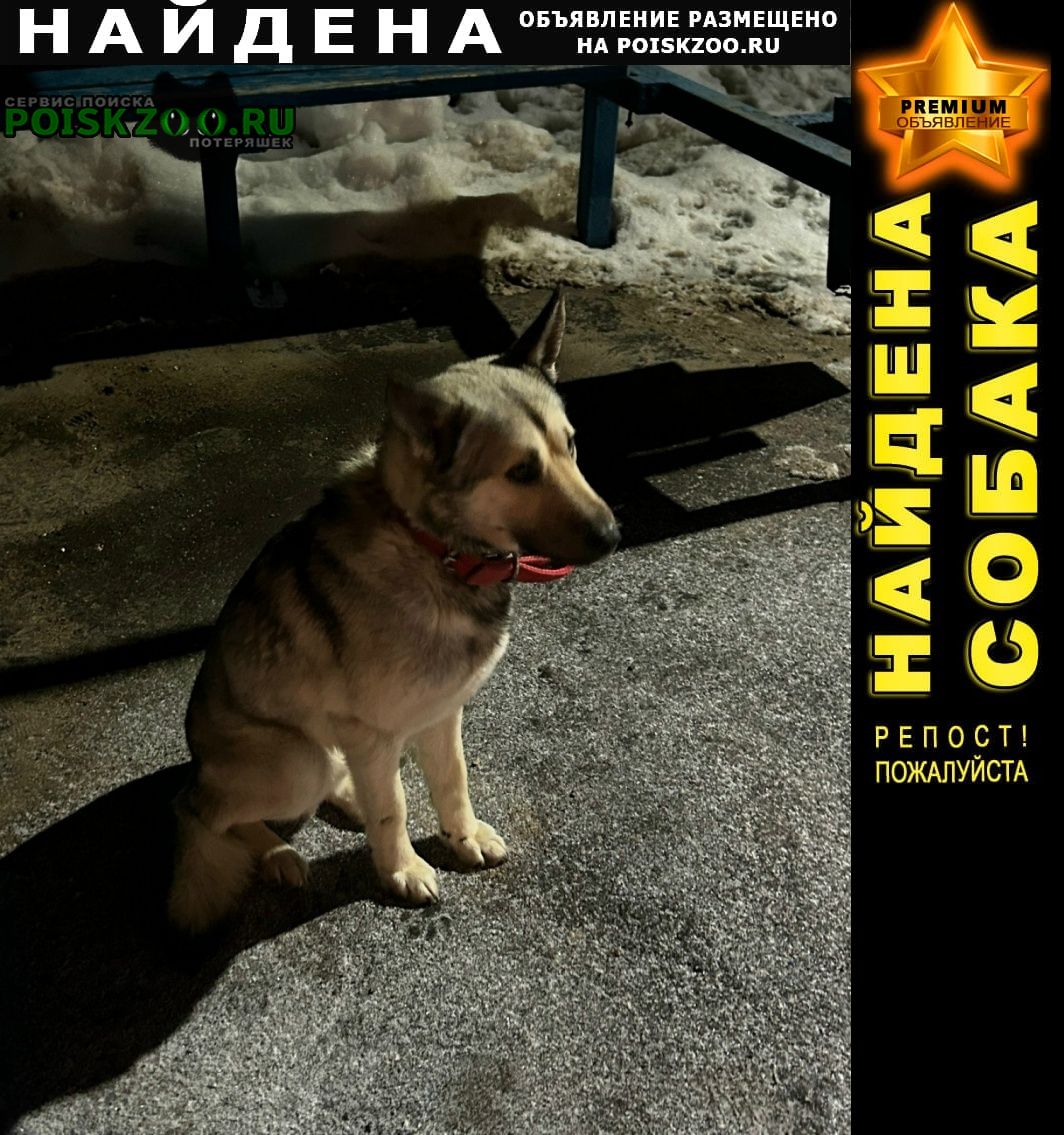 ���� ������� ������ � ����� ������� ���������