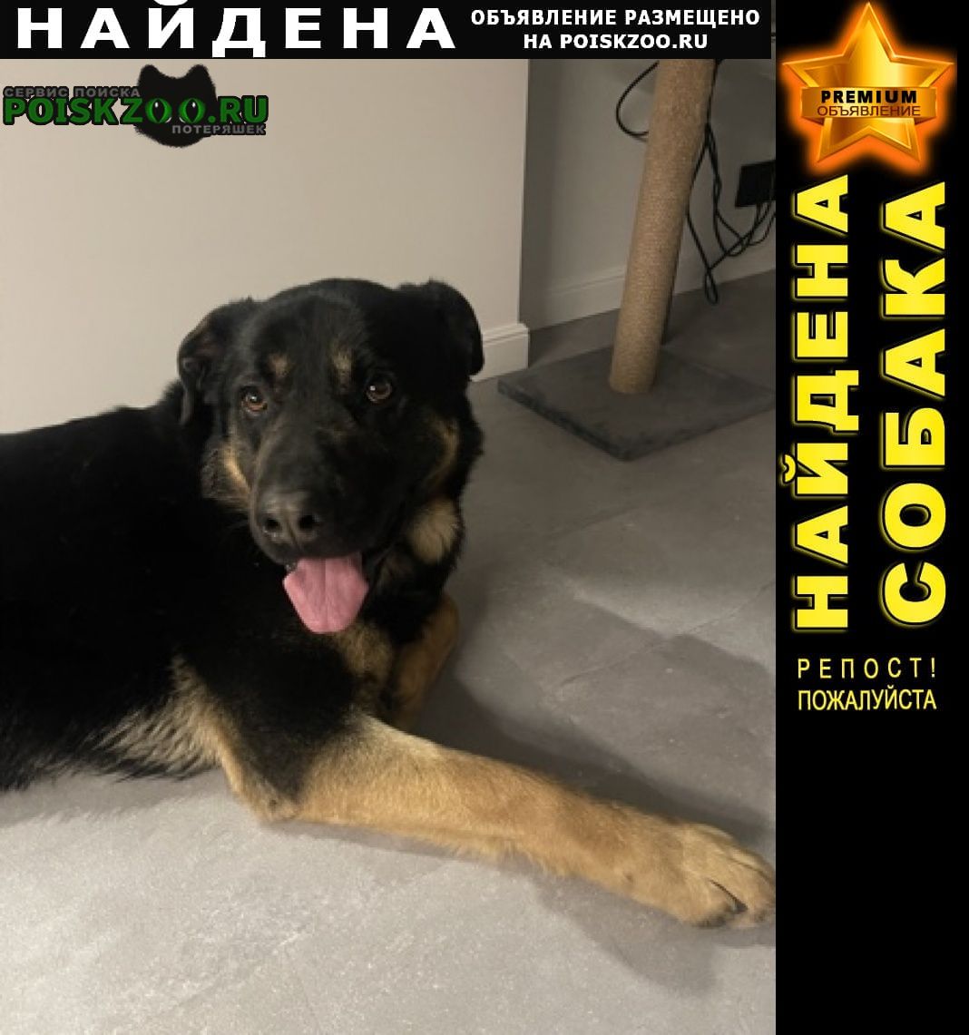 ���� ������� ������ ������ ���� ������ ������ ��� �����