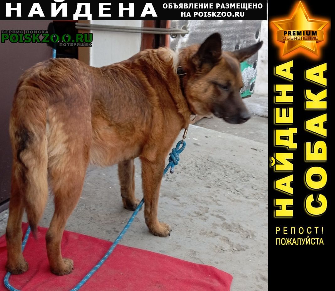 ���� ������� ������ ������ ���� �������