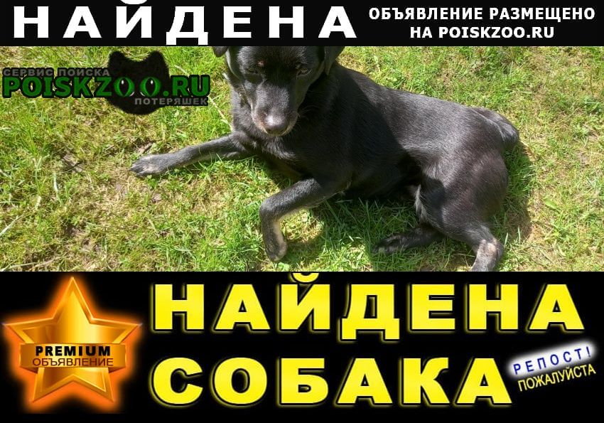 ���� ������� ������ ������ � ����� ������� ��������