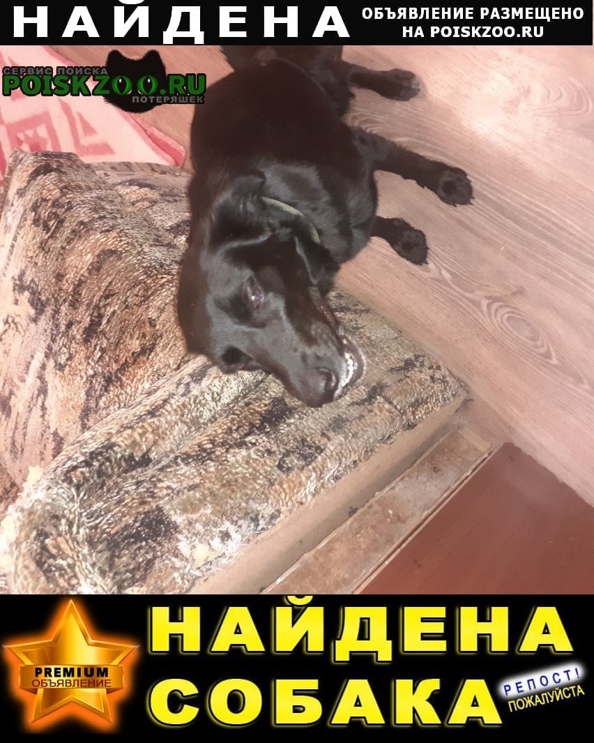 ���� ������� ������