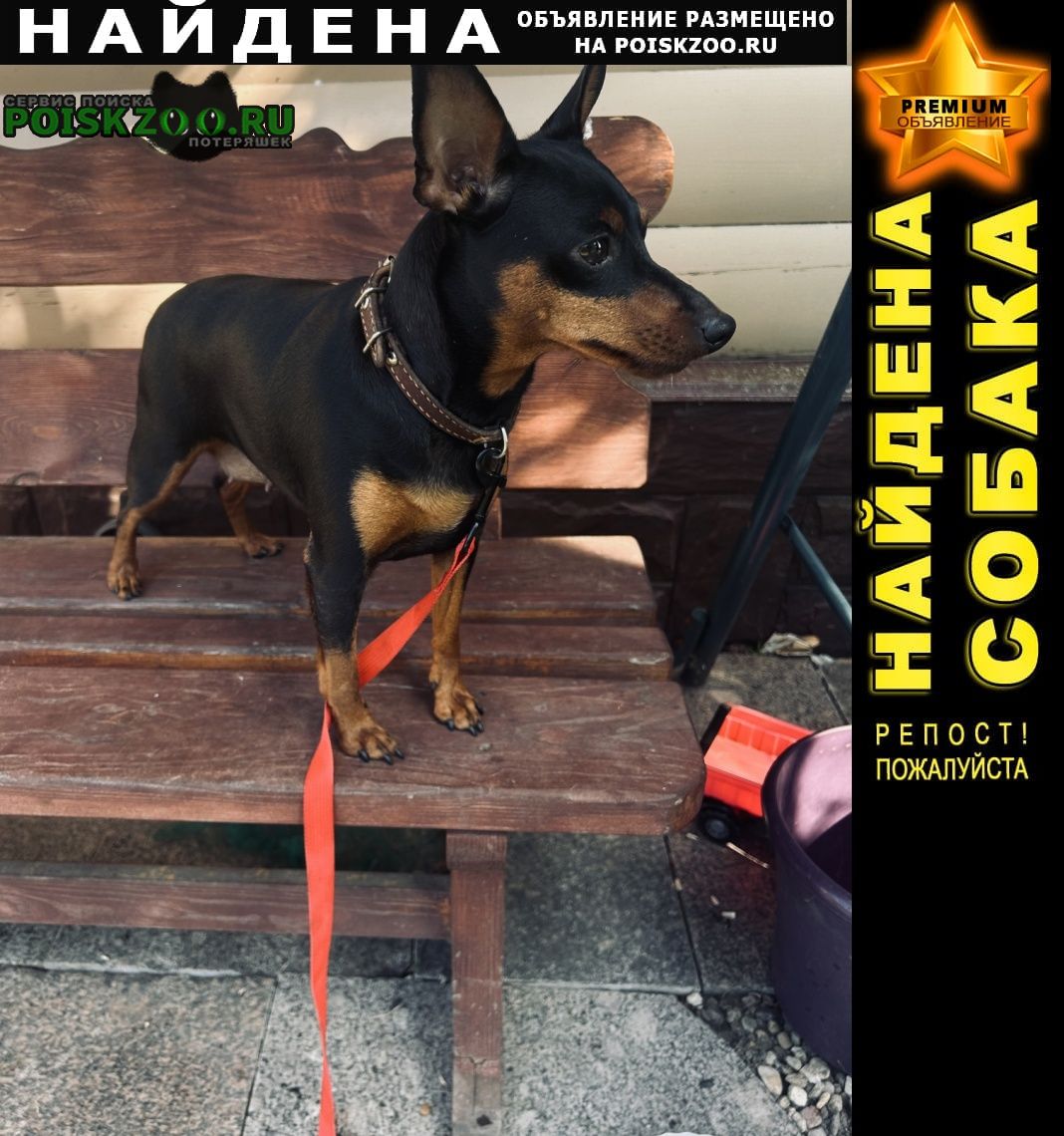 ���� ������� ������ ������� ������