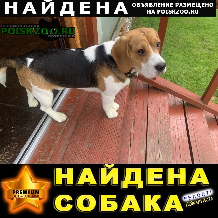 ���� ������� ������ ������