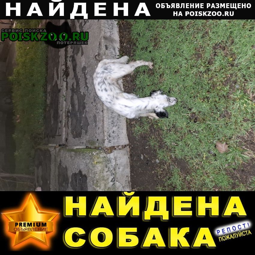 ���� ������� ������ ������ ���������� ������