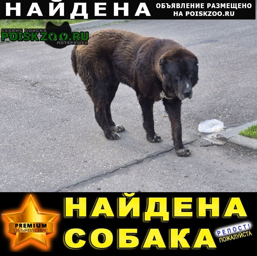 ���� ������� ������ ������ ���� ����������
