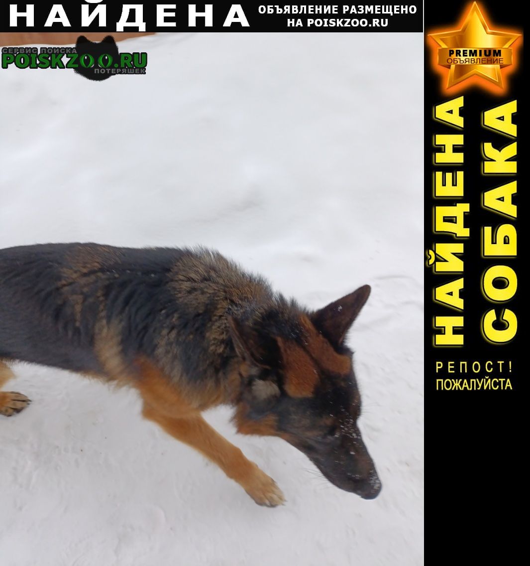 ���� ������� ������ �����������, ��� �������?