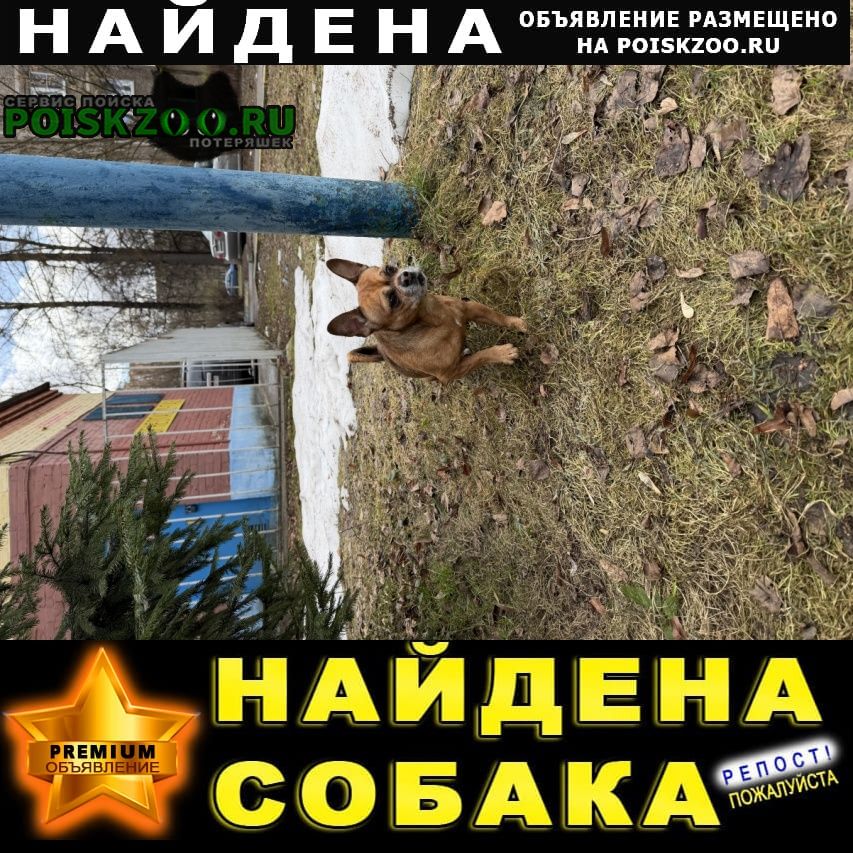 ���� ������� ������ ������