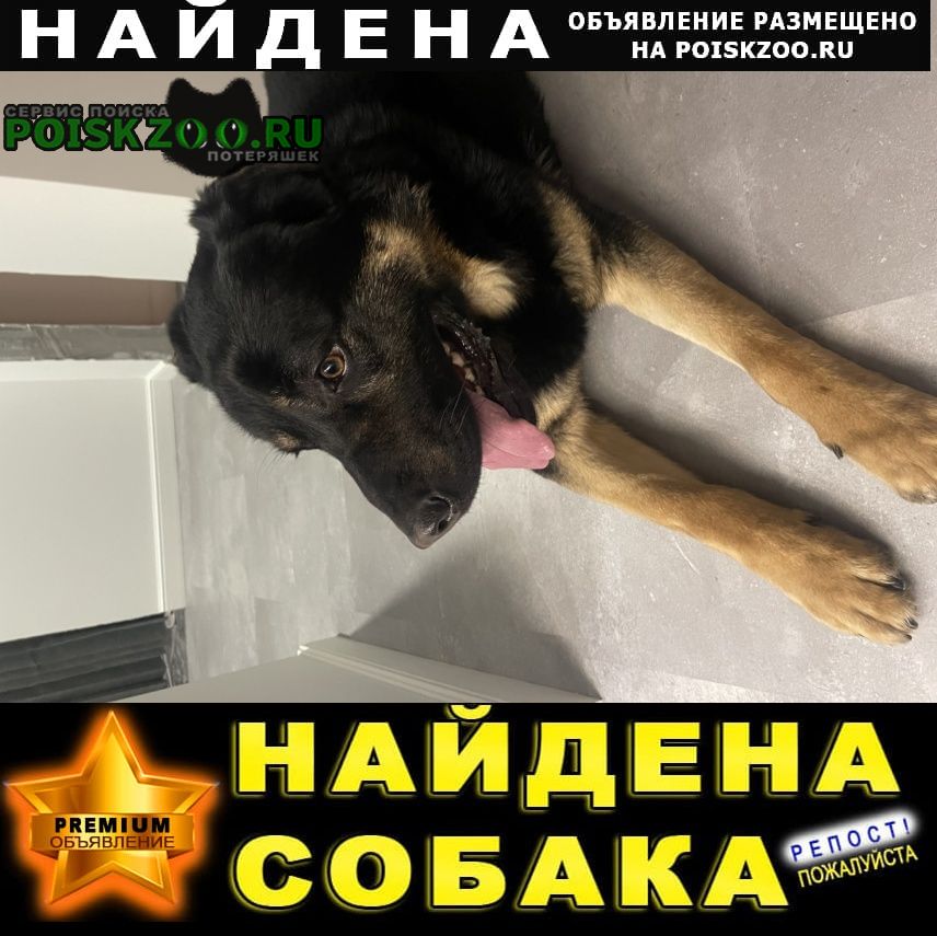 ���� ������� ������ ������