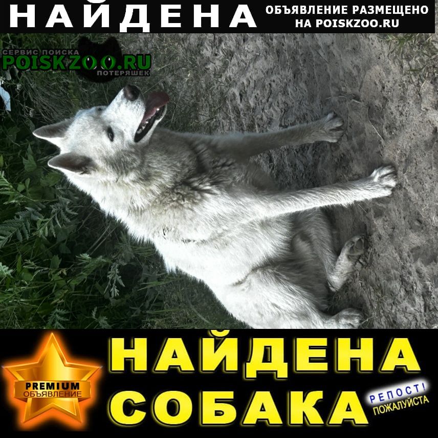 ���� ������� ������ ������ �������, �����