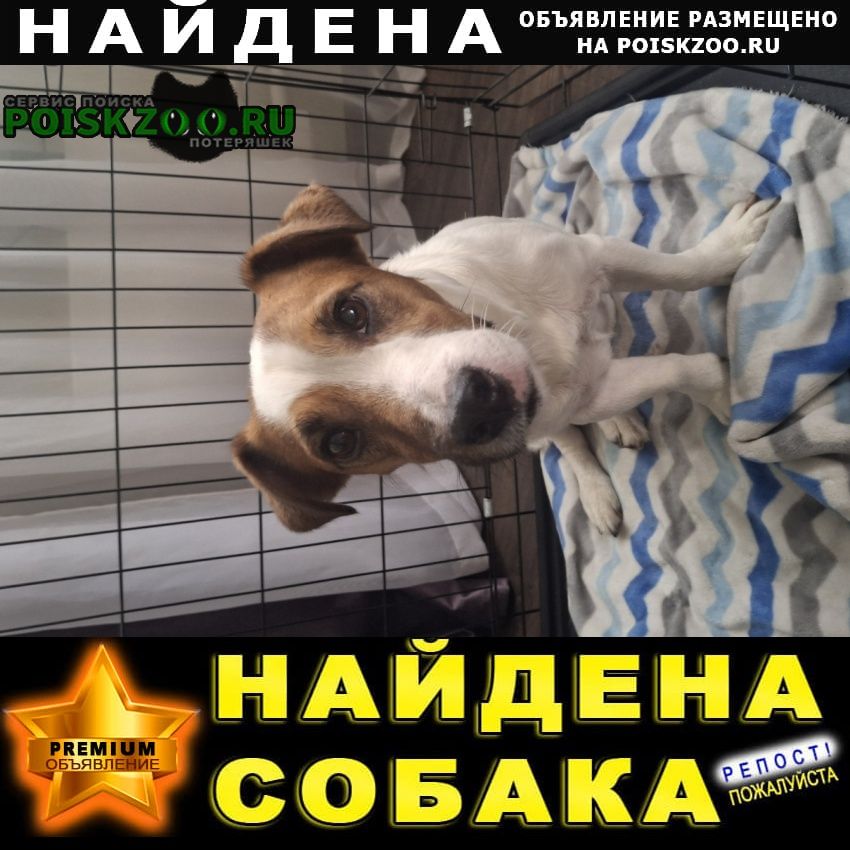 ���� ������� ������ ������ ���� ������, ������