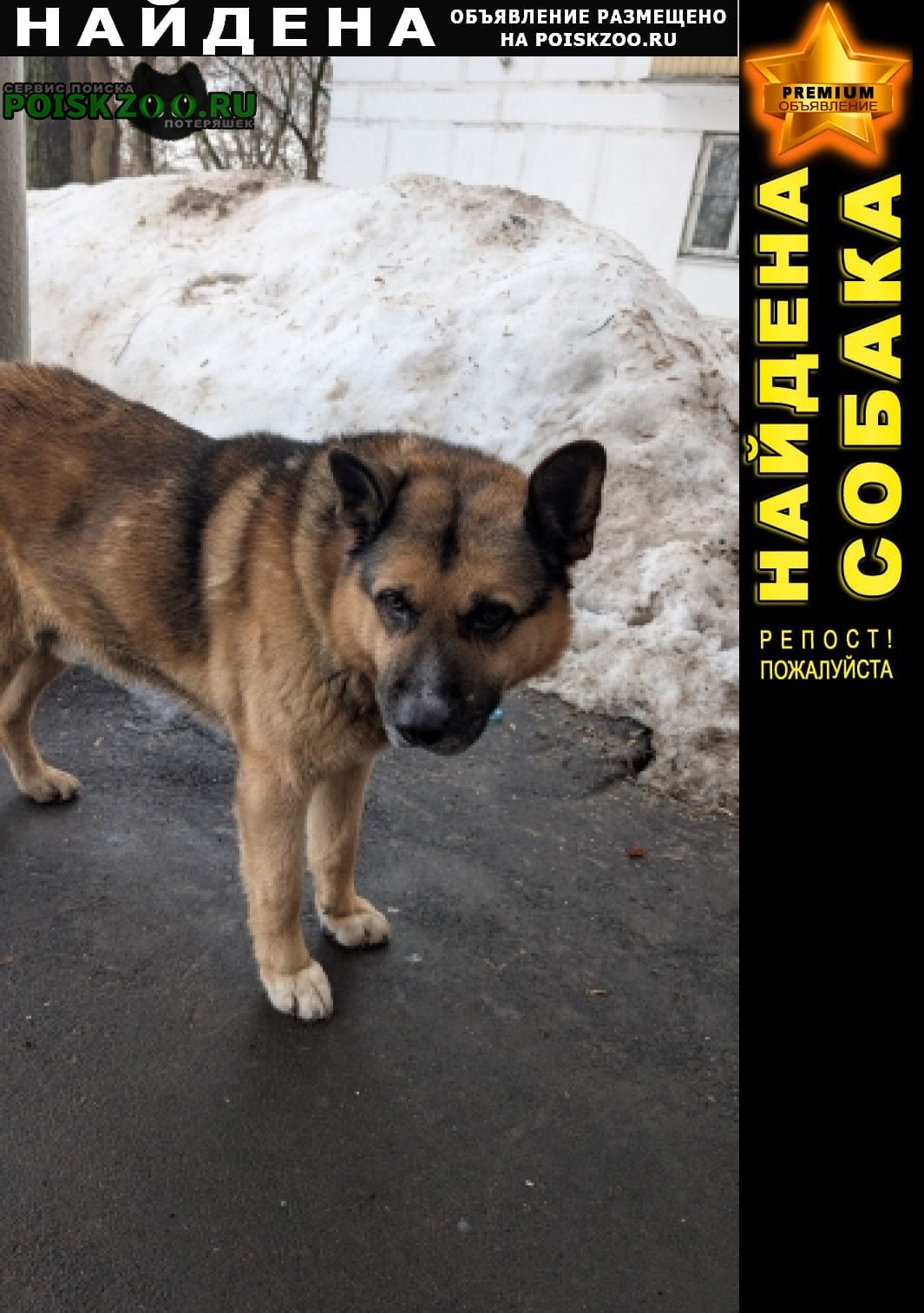 ���� ������� ������ ������ ������, �������