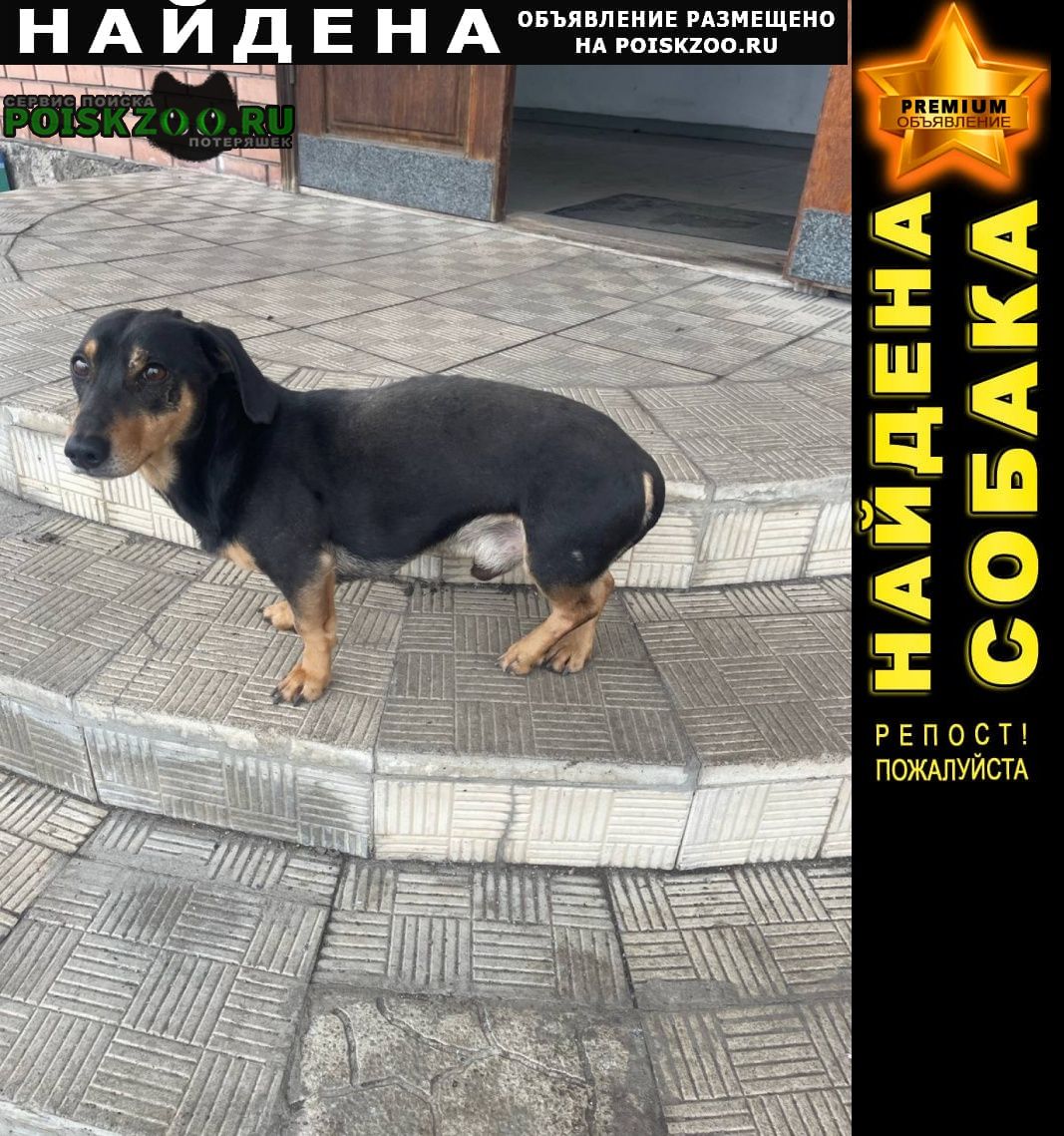 ���� ������� ������ ������ �������� ���������