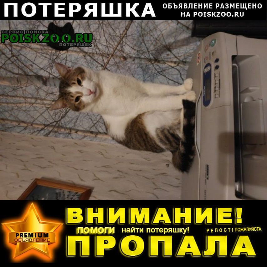 ���� ������� �����