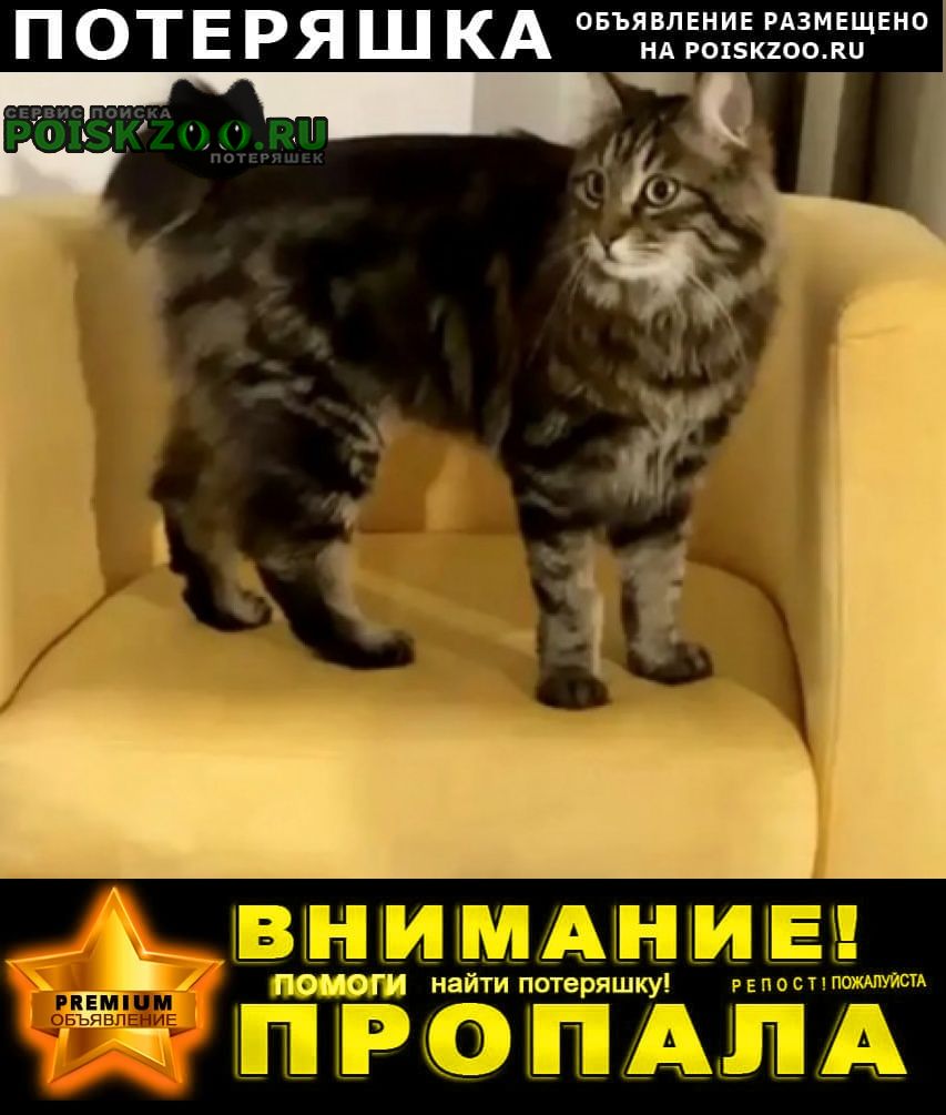 ���� ������ ��� ���������� ���-����