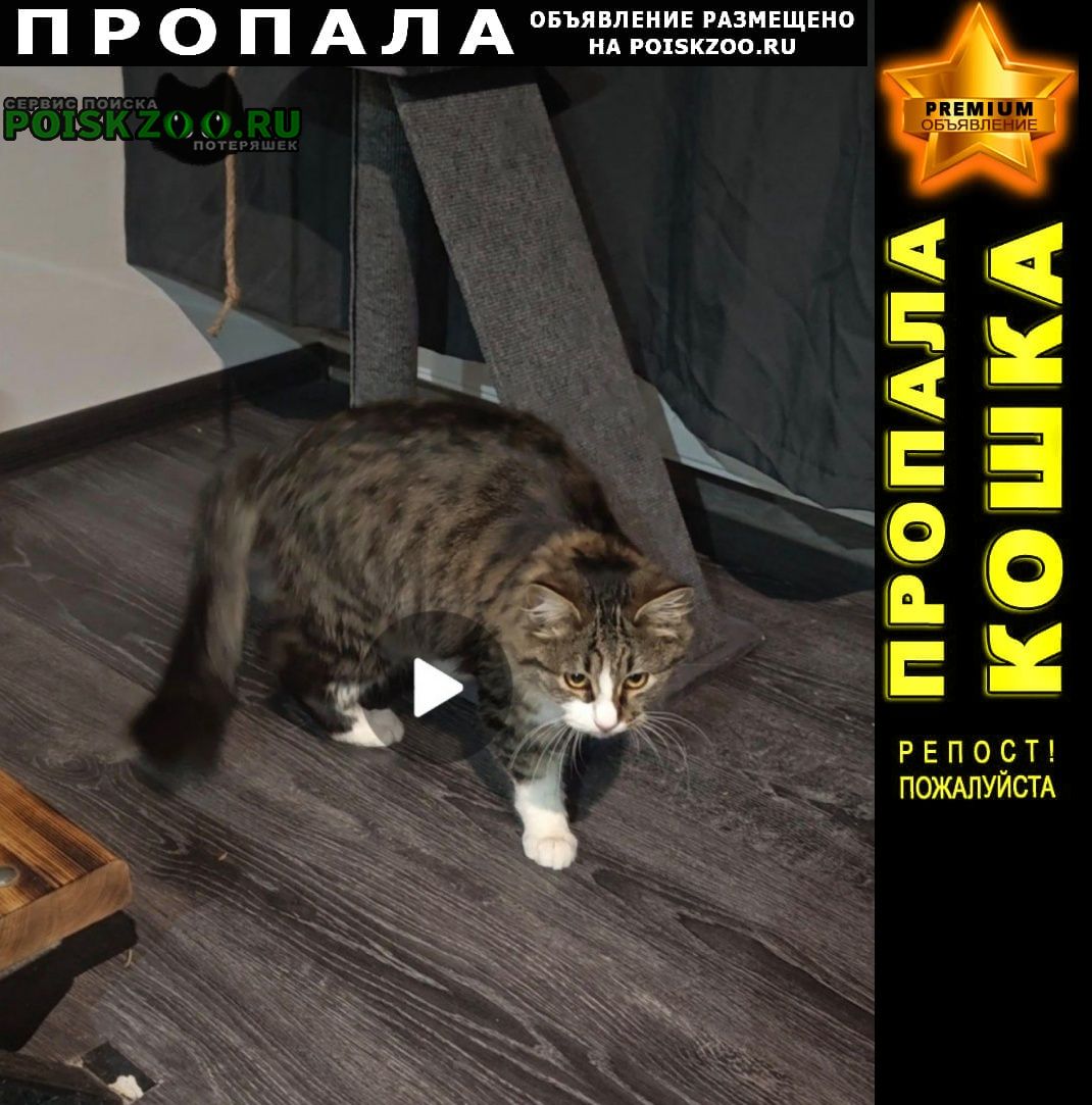 ���� ������ ��� ���������� ��������������