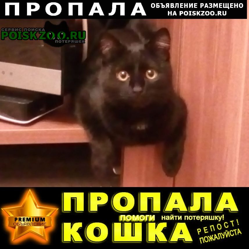 Челябинск Пропал кот черного цвета