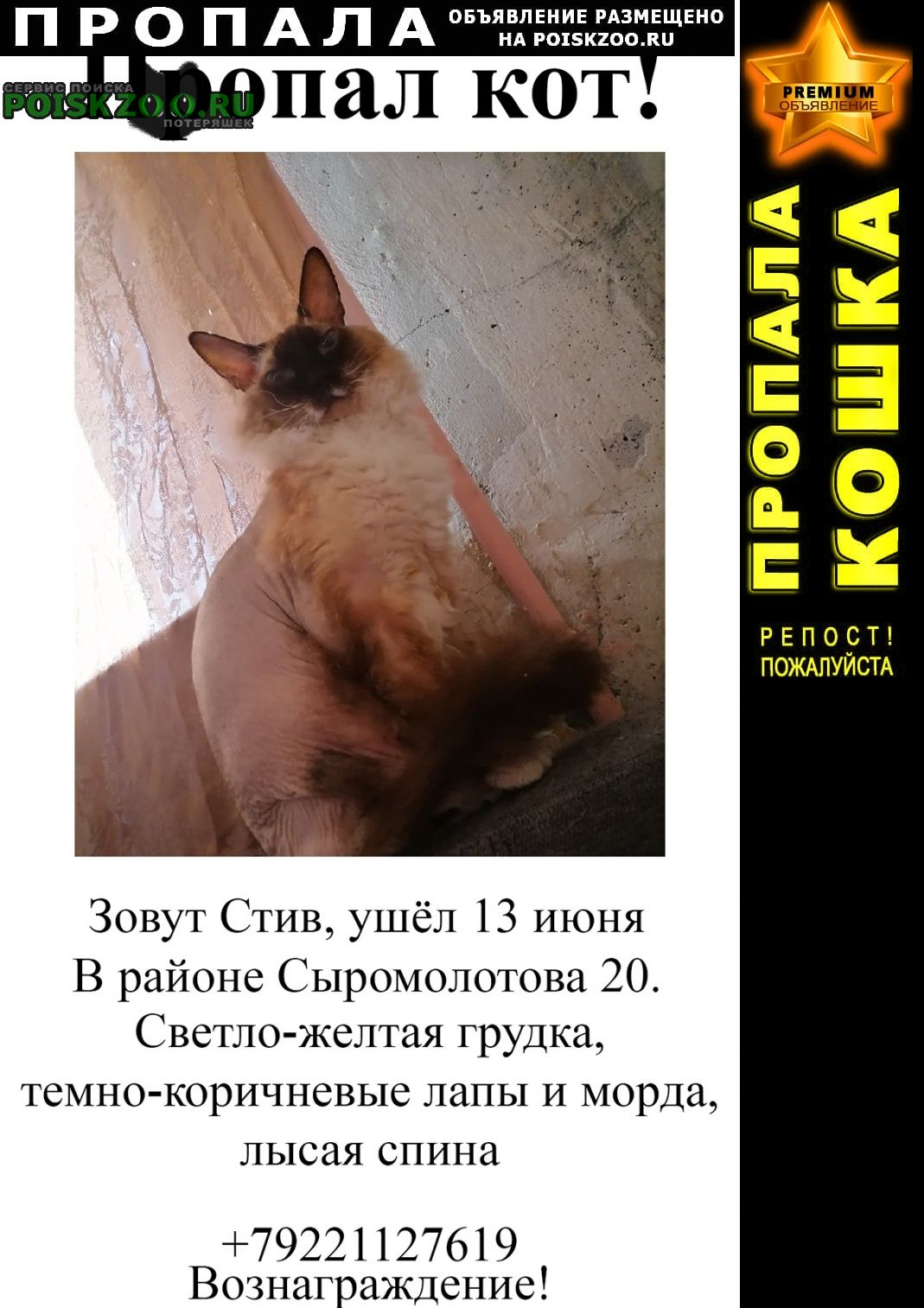 Екатеринбург Пропала кошка в районе жби( )