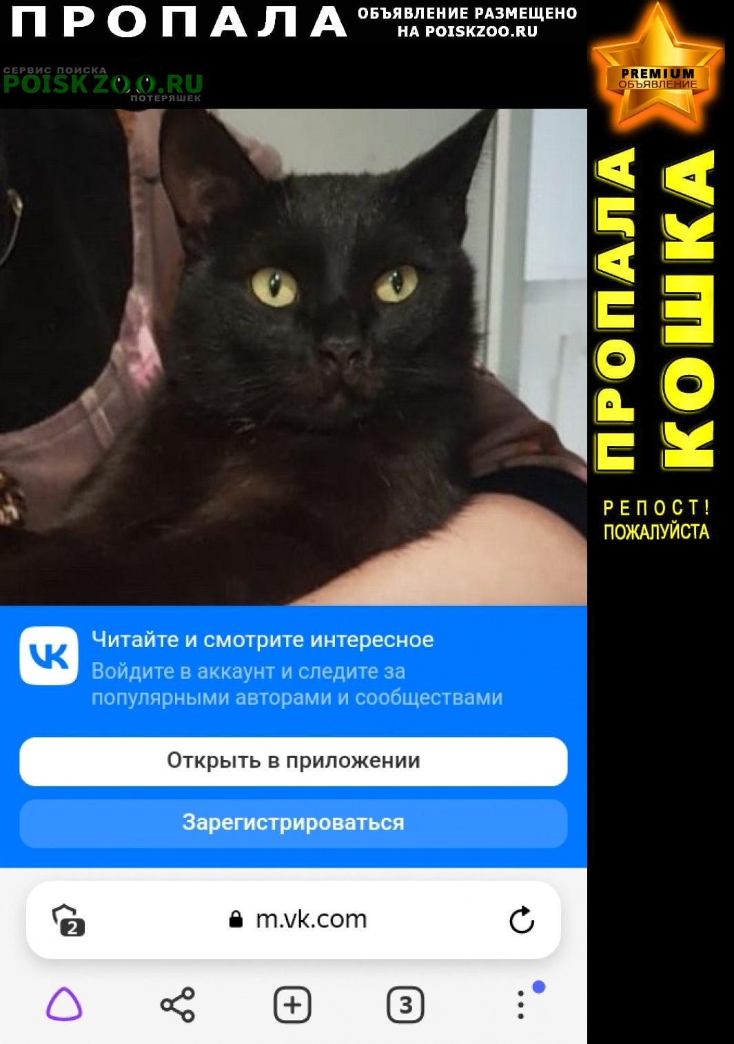 Пропал кот зовут морис Владикавказ