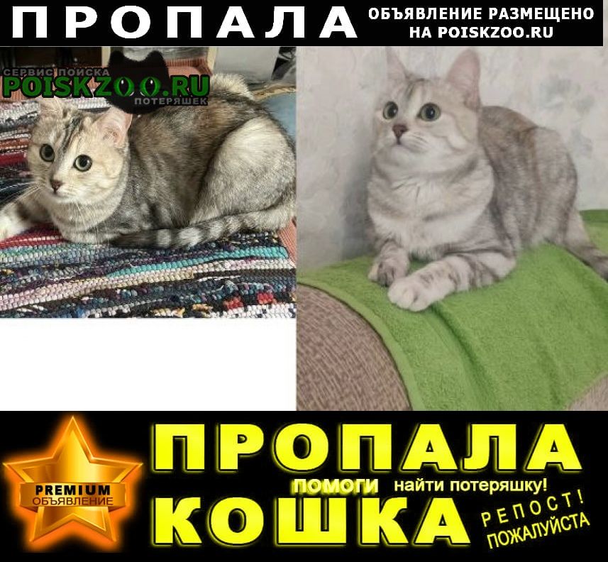 Пропала кошка район савеловский, ул. башиловская Москва