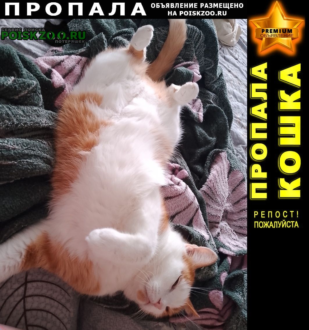   , 14. 03  4, 