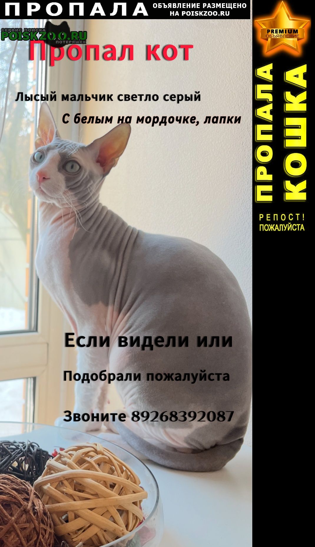   04. 03    