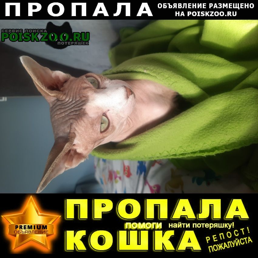     .   .