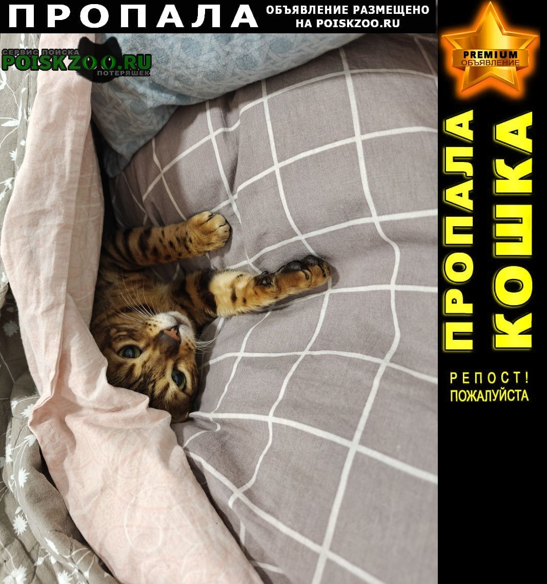    ,  ,  