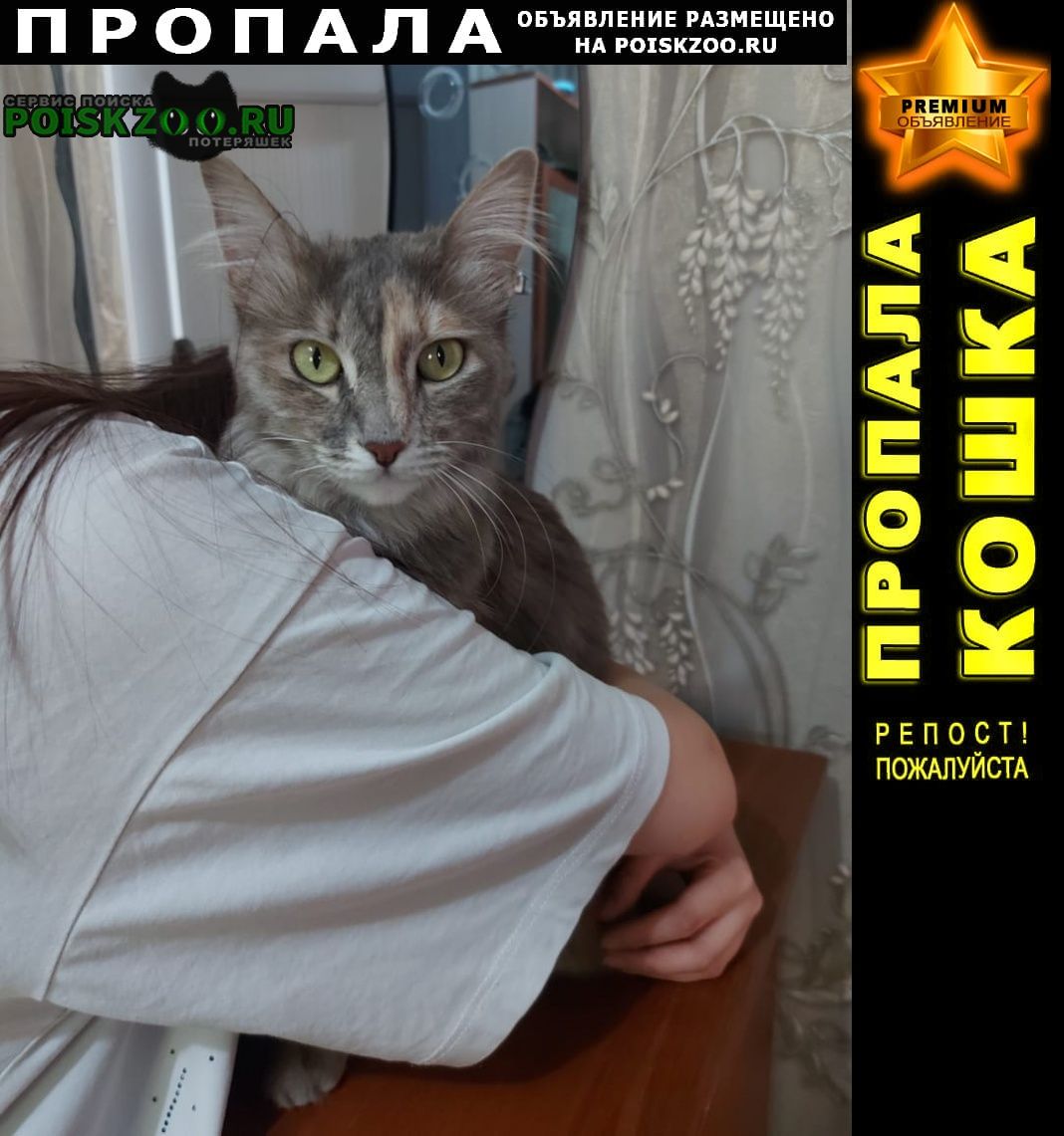 ���� ������� �����