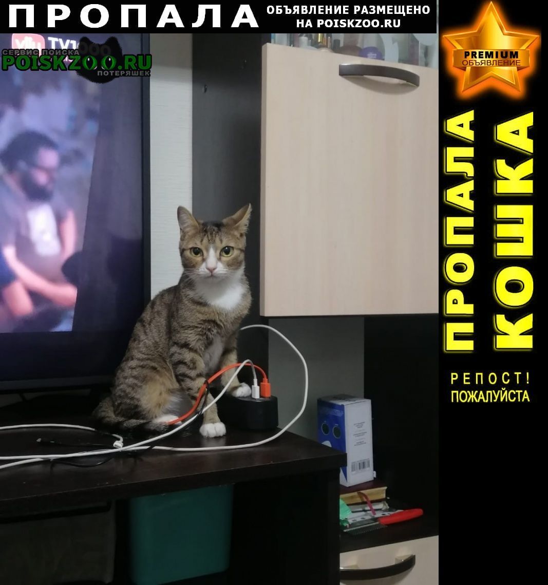 ���� ������ ���