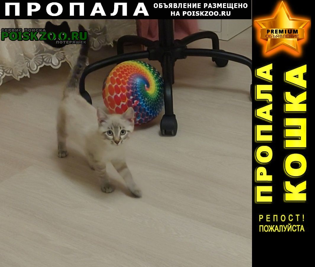 ���� ������� ����� ������� �������, 3 ���