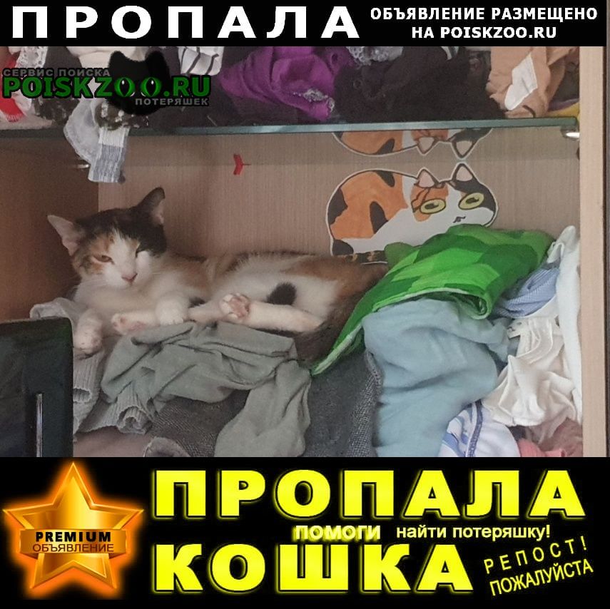 ���� ������� �����