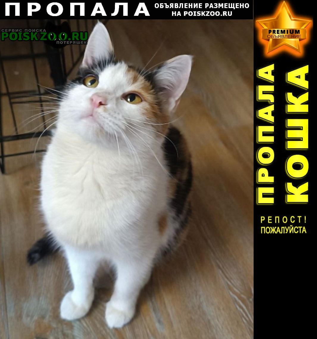 ���� ������� �����