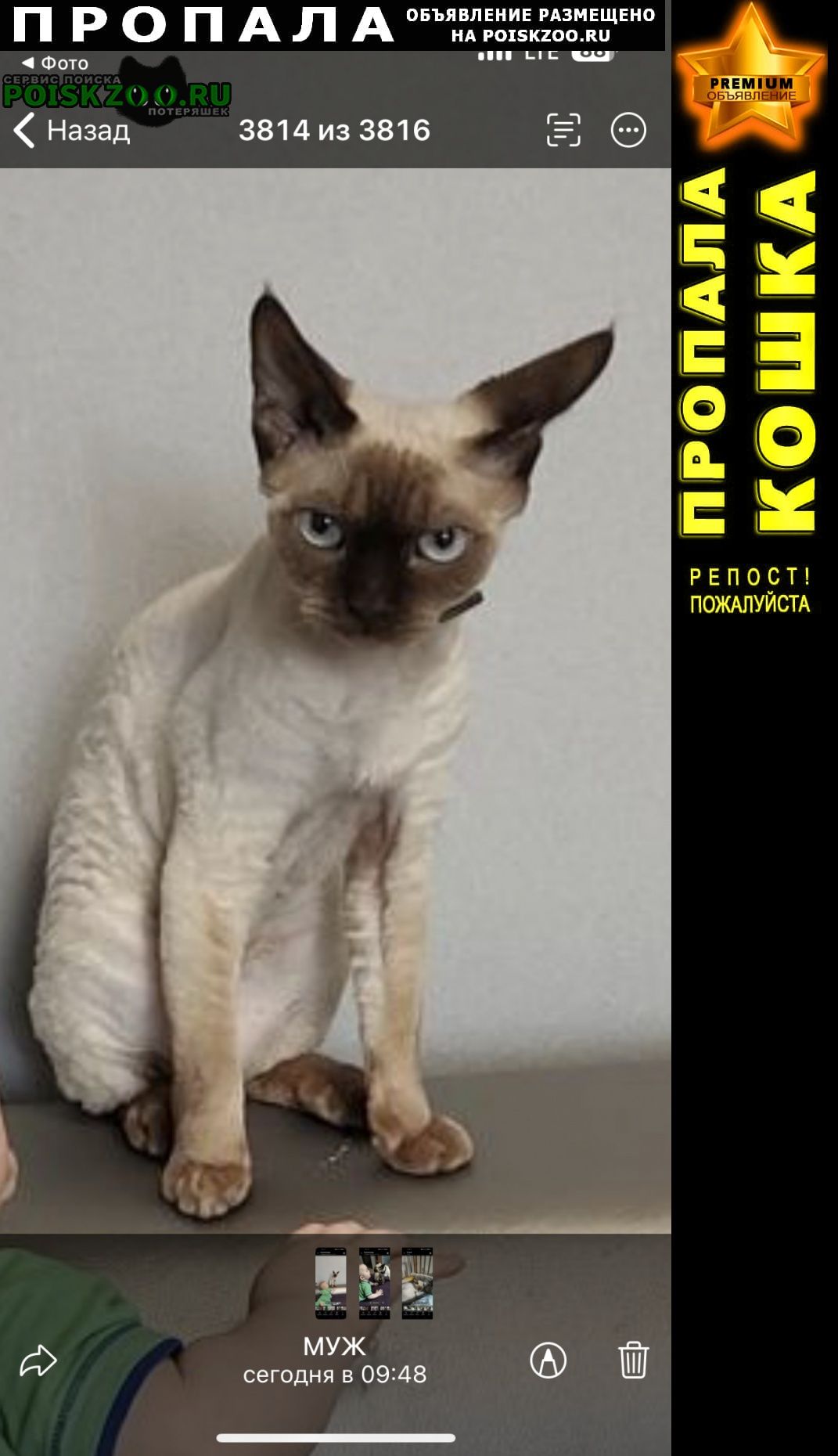 ���� ������ ���