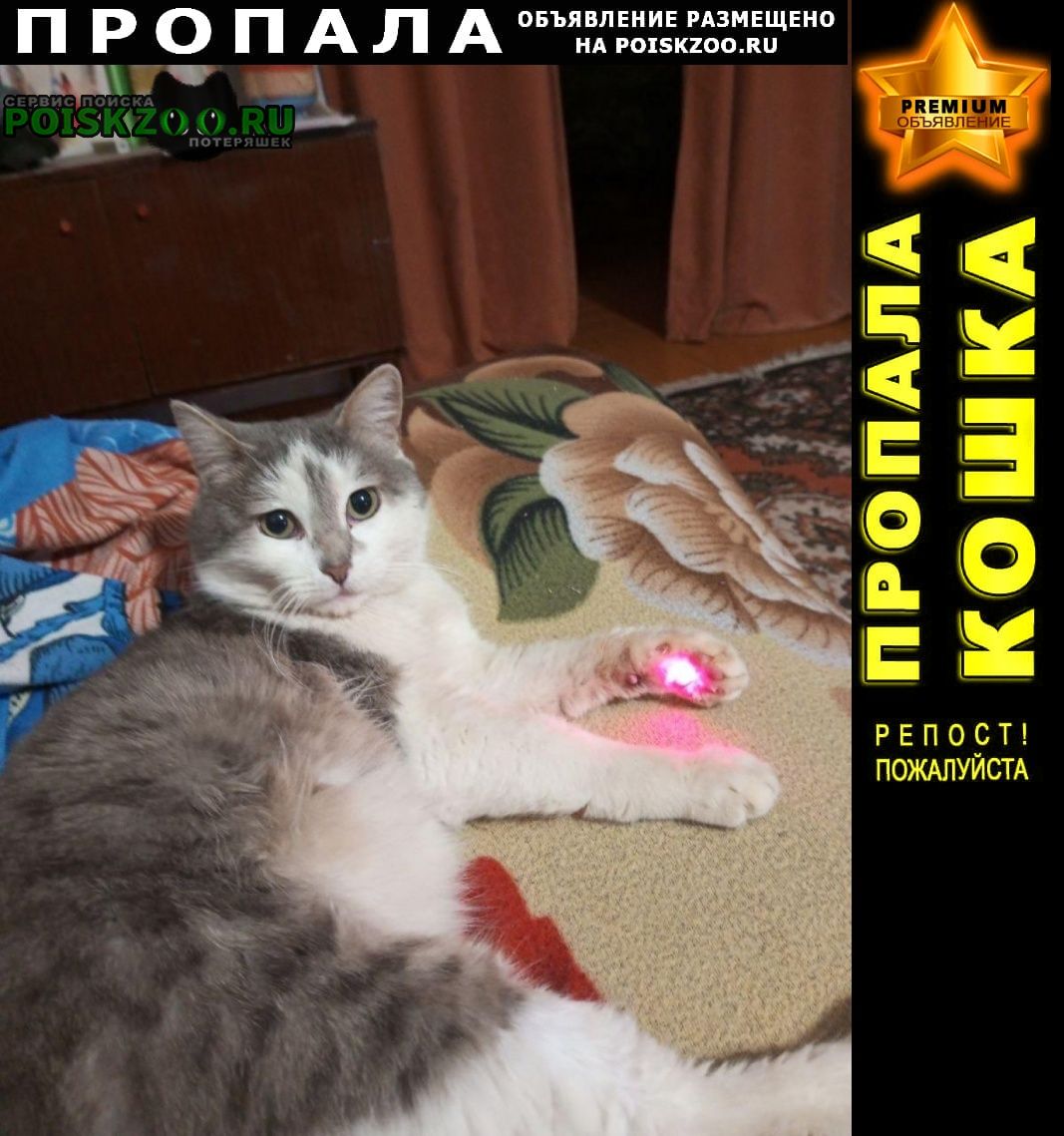 ���� ������ ��� ����� ��������� �� ���� ��������� ������