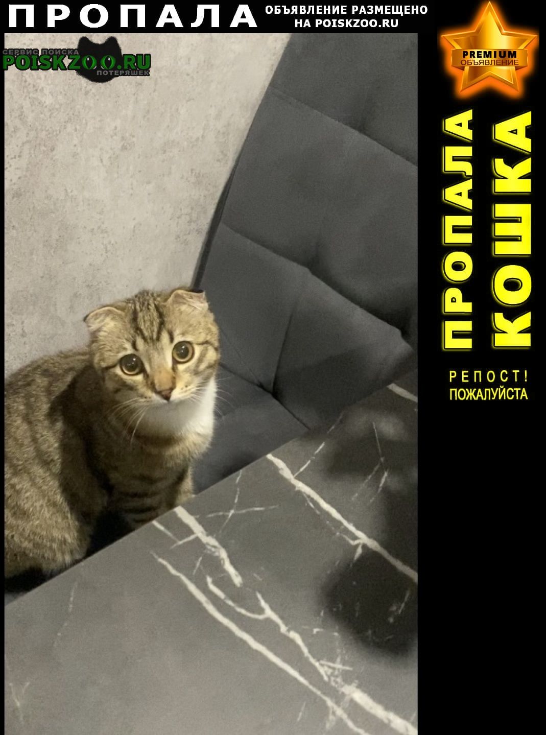 ���� ������ ��� �������� ����� ������� �����