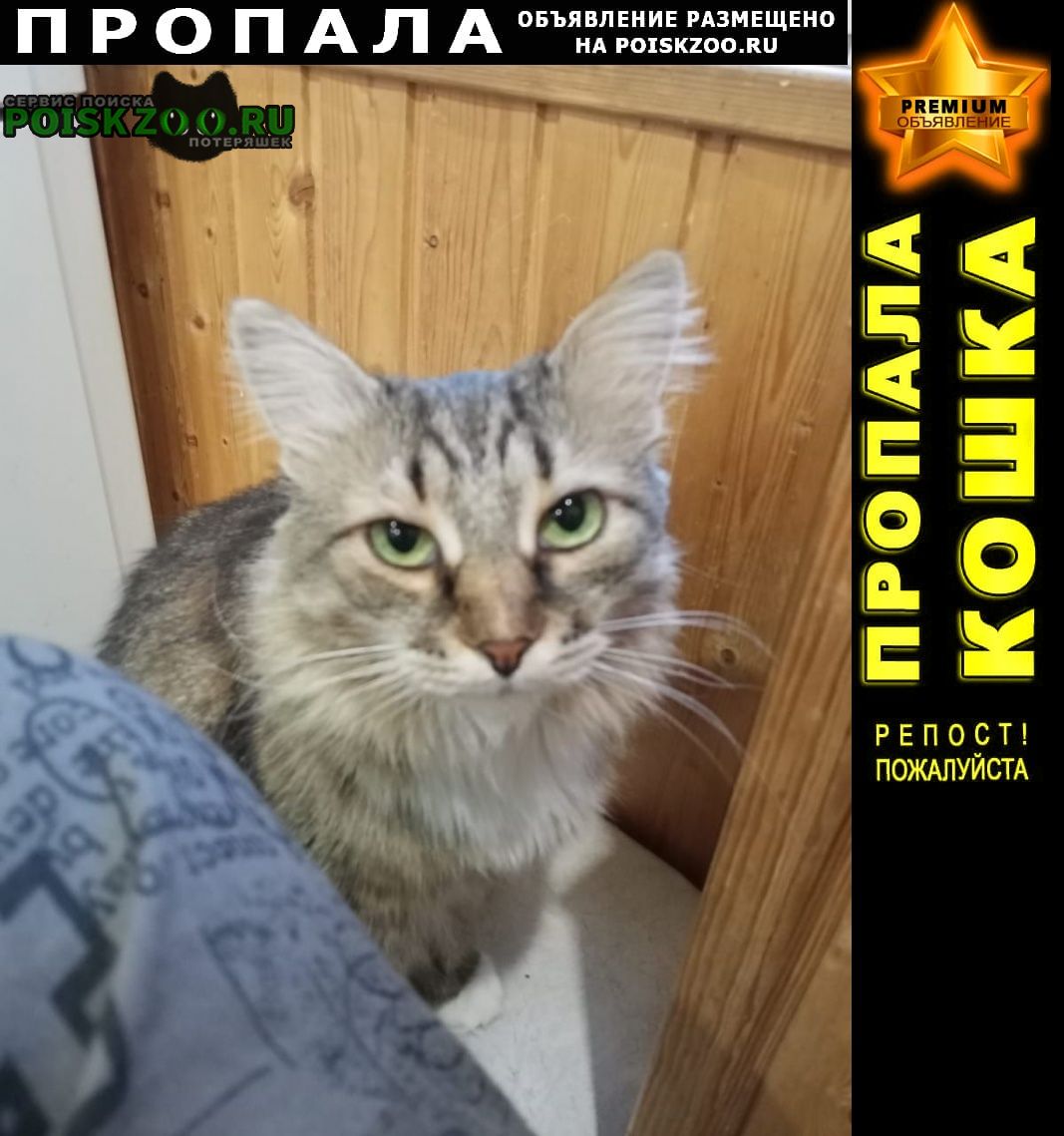 ���� ������� ����� � ������ �������� ��������