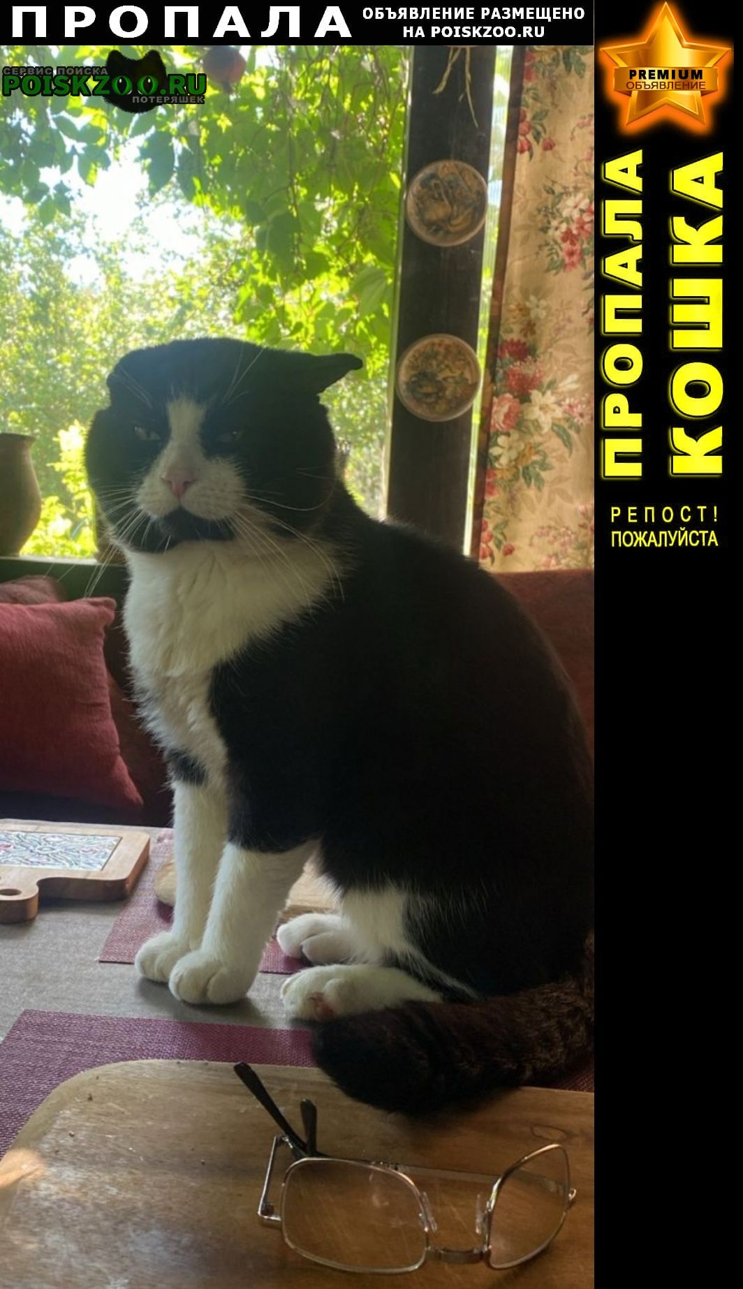 ���� ������ ���