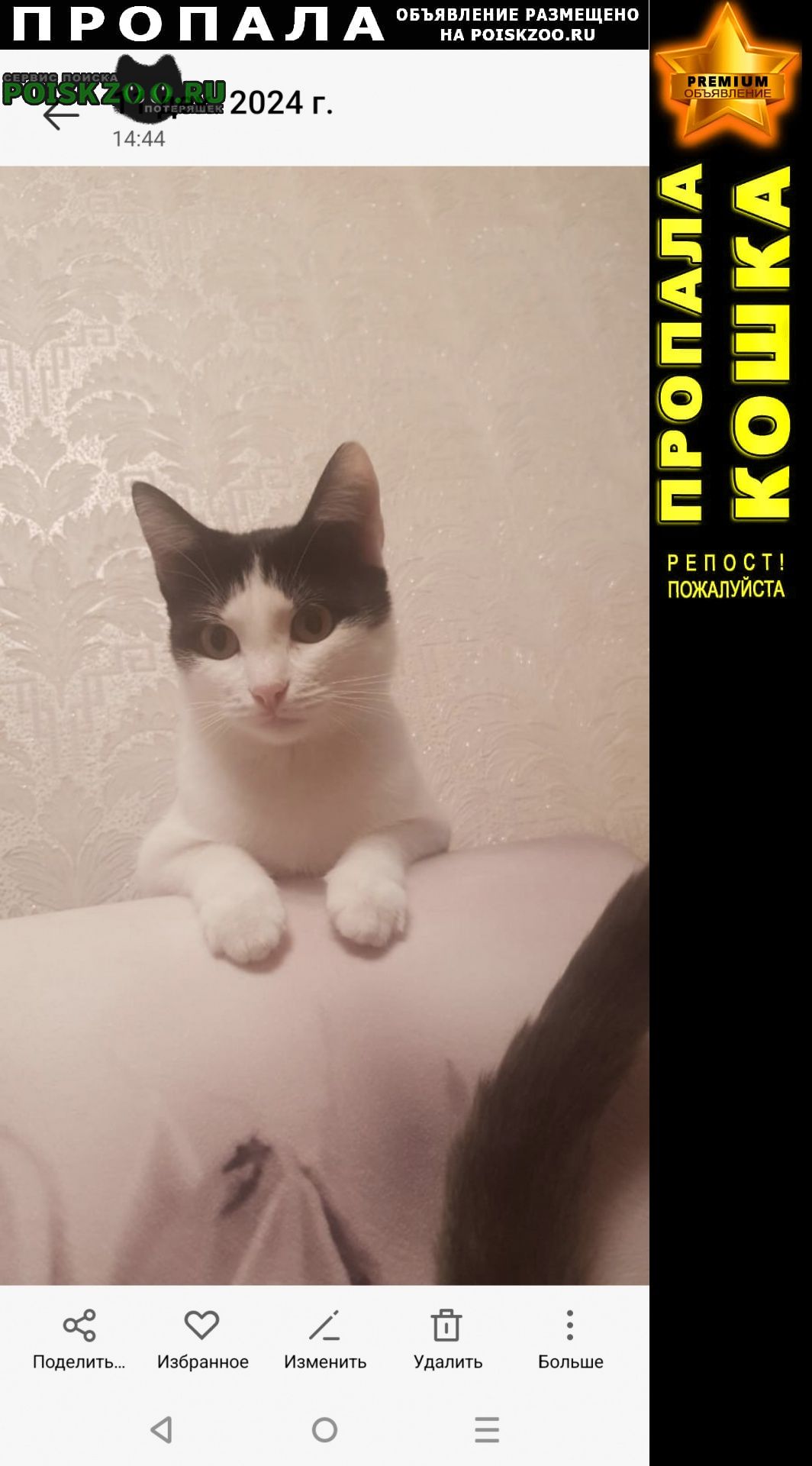 ���� ������� ����� ��������