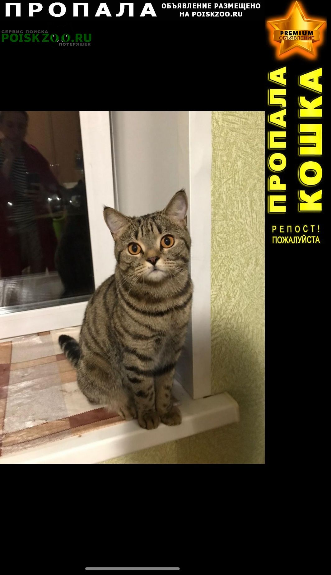 ���� ������ ���