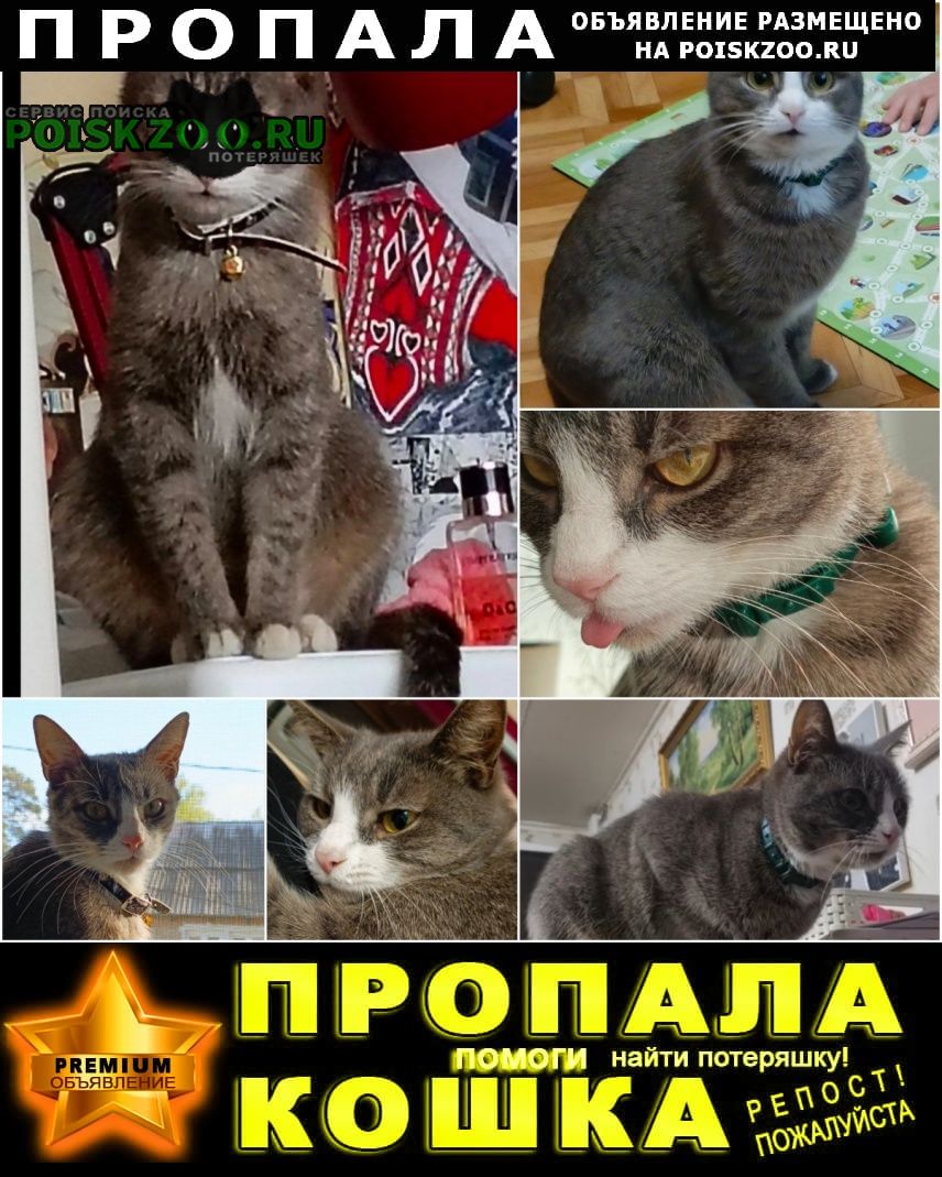 ���� ������� �����