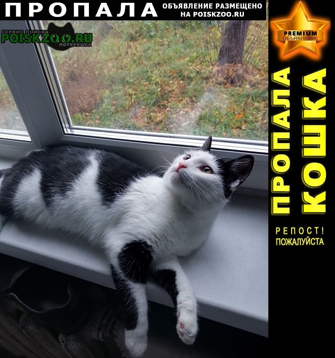 ���� ������� �����