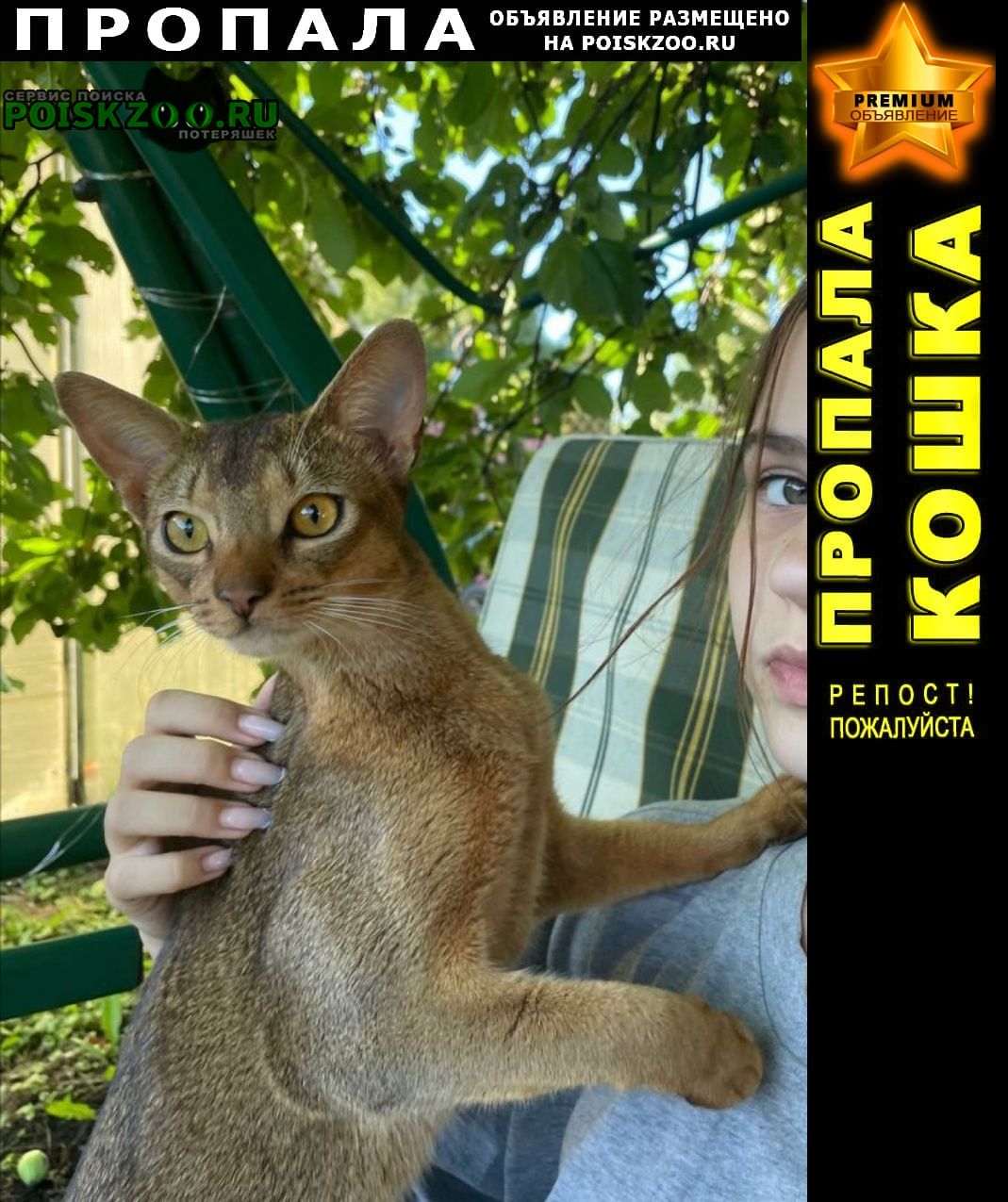 ���� ������ ���