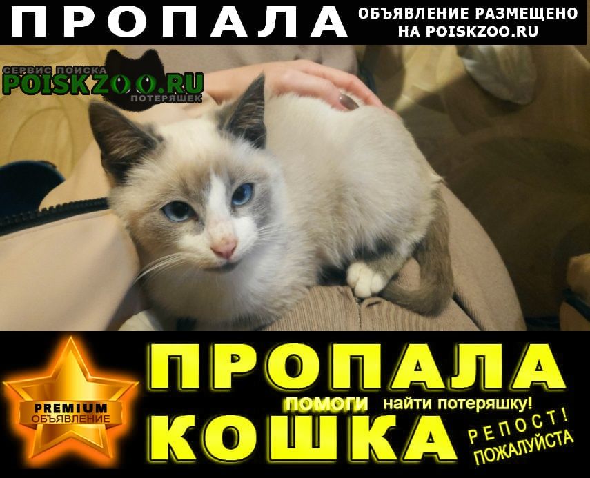 ���� ������ ���