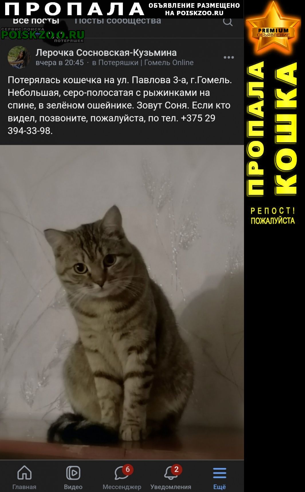 ���� ������� �����