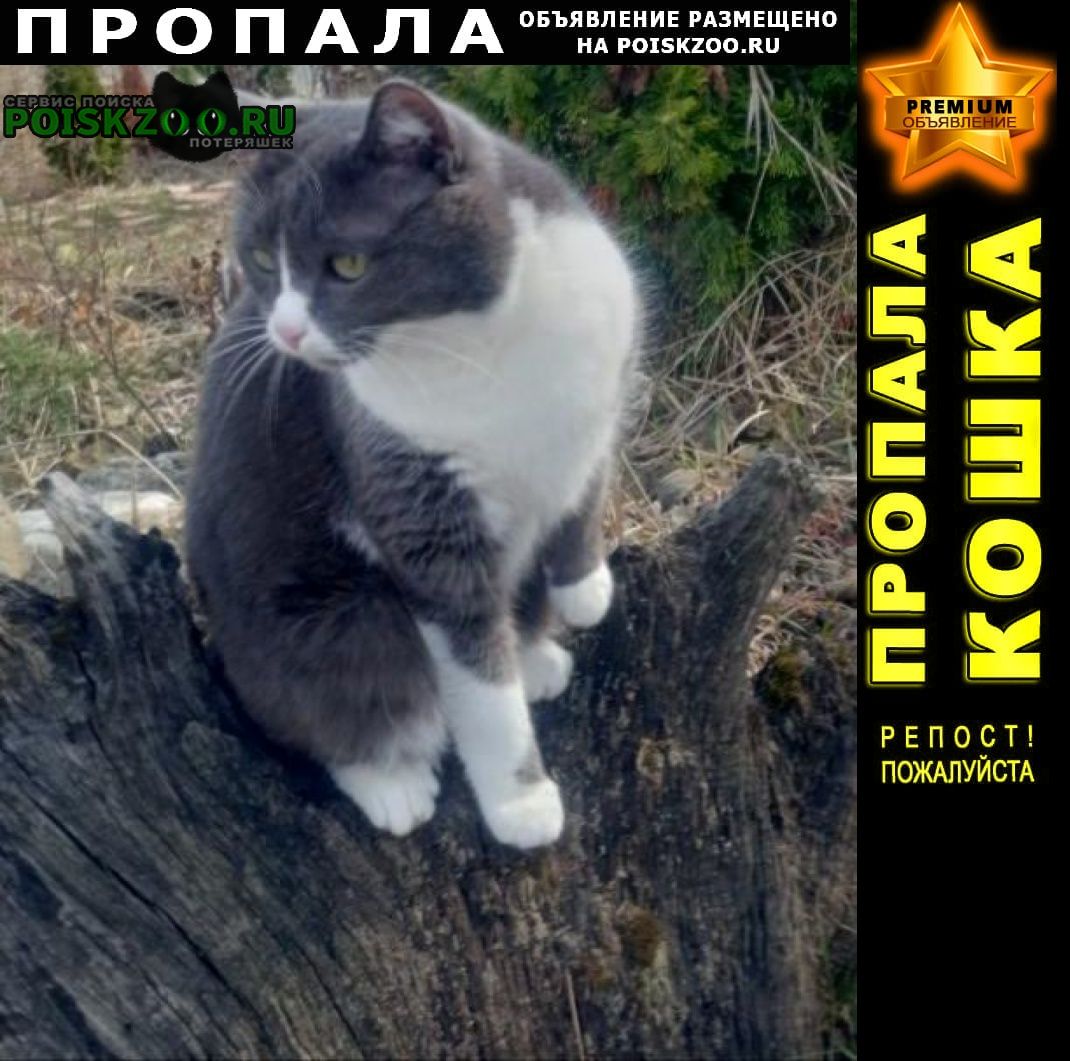 ���� ������� ����� ��� ���������