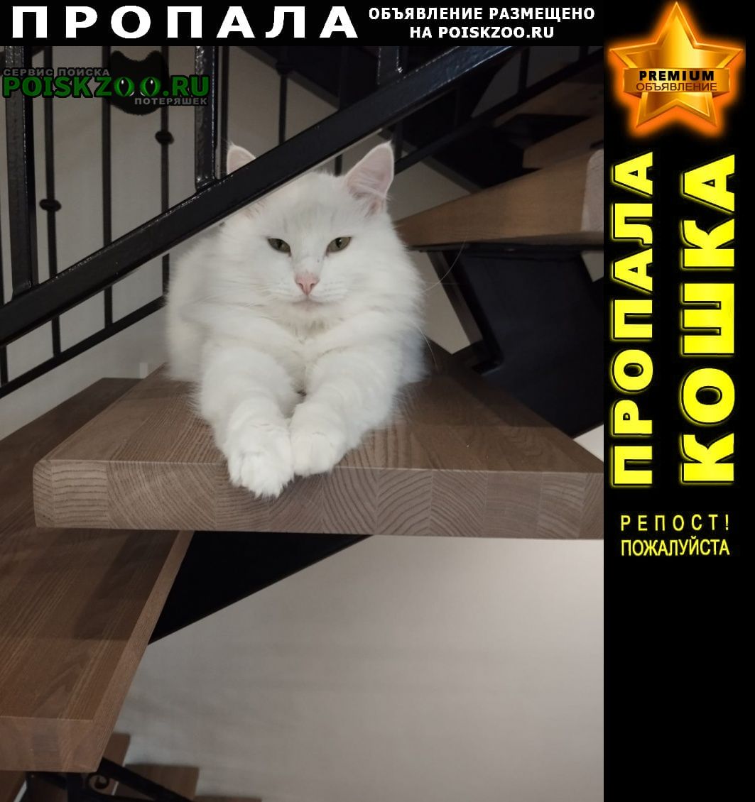 ���� ������ ���