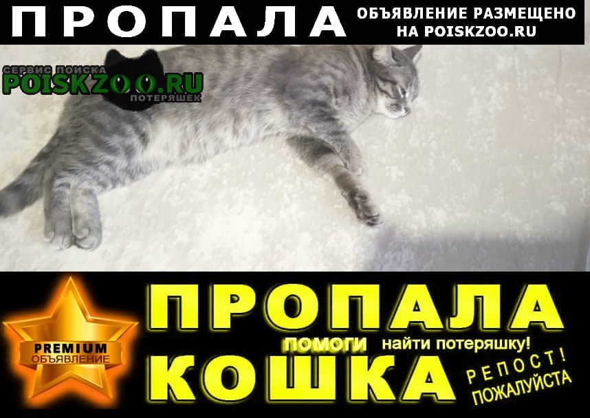 ���� ������� ����� ��