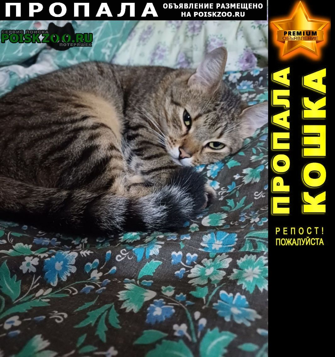 ���� ������ ��� ������